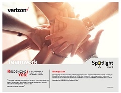 SpotLight Award - Teamwork
